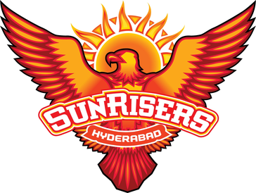 Sunrisers Hyderabad CEO Owner